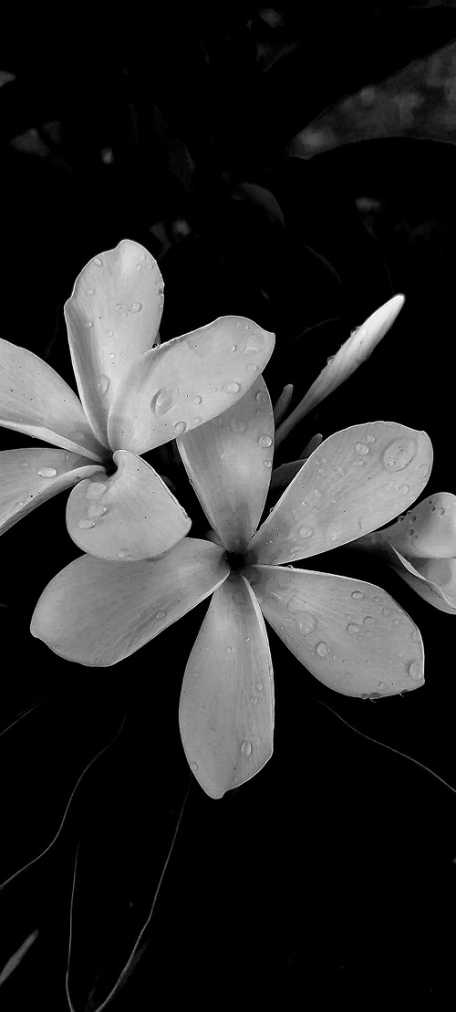 Desaturation and edited version
